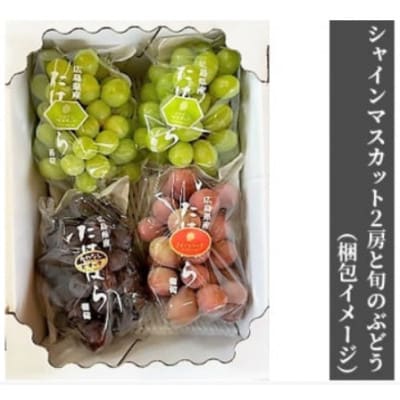シャインマスカット2房と旬のぶどう詰合せ4～6房 計約2kg