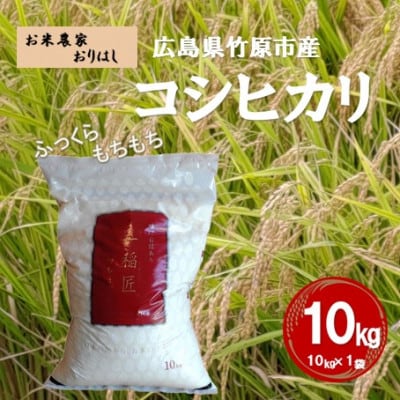 お米 コシヒカリ 精米(10kg)