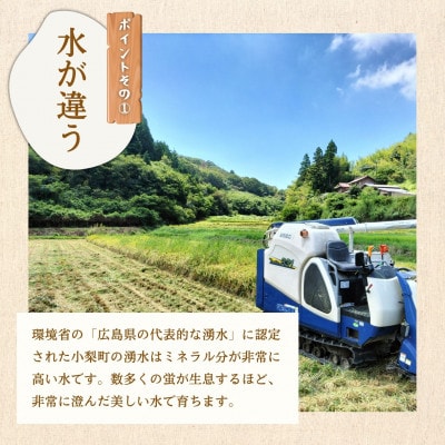 【2026年先行予約】お米 にじのきらめき 精米 10kg 「お米農家おりはし」
