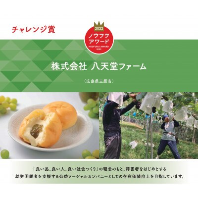 八天堂ぶどう園　シャインマスカット2房900g　ノウフクJAS認証　化粧箱入り