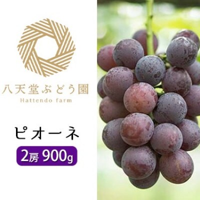 八天堂ぶどう園　ピオーネ2房900g　ノウフクJAS認証　化粧箱入り
