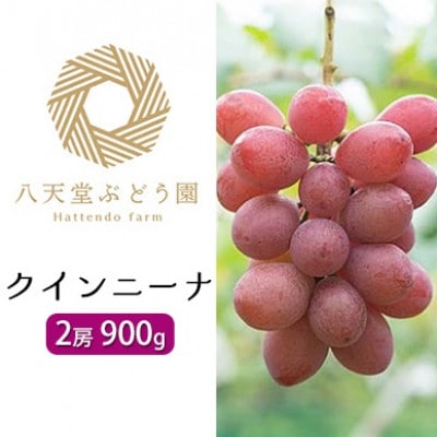 八天堂ぶどう園　クインニーナ2房900g　ノウフクJAS認証　化粧箱入り