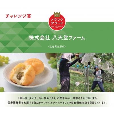 八天堂ぶどう園　クインニーナ2房900g　ノウフクJAS認証　化粧箱入り