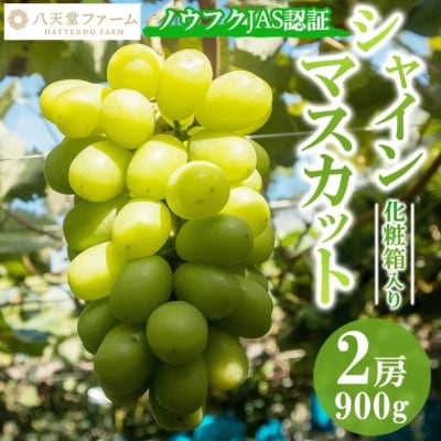 八天堂ぶどう園 シャインマスカット 2房 900g ノウフクJAS認証 化粧箱入り