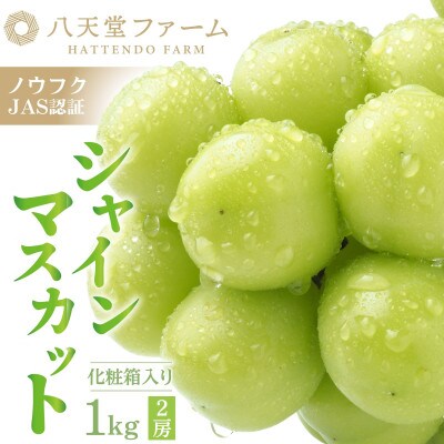 八天堂ぶどう園 シャインマスカット 2房 1kg 化粧箱入り ノウフクJAS認証 ※8月中旬頃～発送
