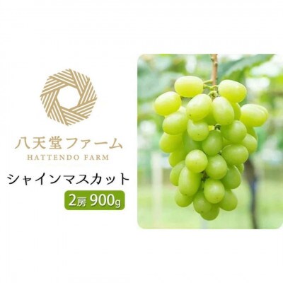 八天堂ぶどう園 シャインマスカット 2房 900g ノウフクJAS認証 化粧箱入り