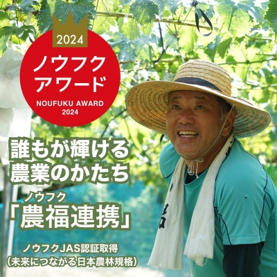 八天堂ぶどう園 シャインマスカット 2房 1kg 化粧箱入り ノウフクJAS認証 ※8月中旬頃～発送