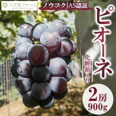 八天堂ぶどう園 ピオーネ 2房 900g ノウフクJAS認証 化粧箱入り