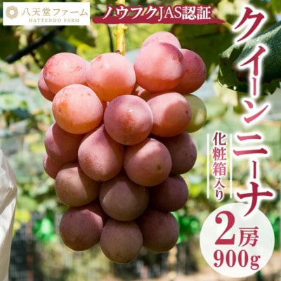 八天堂ぶどう園 クイーンニーナ 2房 900g ノウフクJAS認証 化粧箱入り