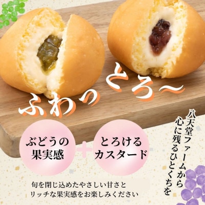 八天堂ファーム 果実なくりーむパンぶどう2種セット計16個(シャインマスカット8個・赤ぶどう8個)