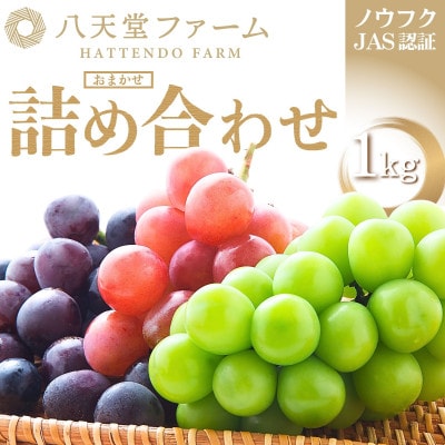 八天堂ぶどう園 おまかせ葡萄詰め合わせ 家庭用 1kg ノウフクJAS認証