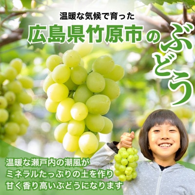 八天堂ぶどう園 おまかせ葡萄詰め合わせ 家庭用 2kg ノウフクJAS認証