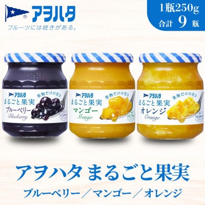 アヲハタ まるごと果実 3種9瓶(1瓶250g～256g)ブルーベリー/マンゴー/オレンジ 各3瓶
