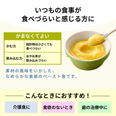 キユーピー やさしい献立 かまなくてよい 9種 12袋セット 介護食 災害食