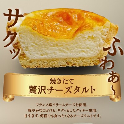 フレシュール チーズタルト 6個入り1箱 フランス産クリームチーズ使用 ベイクドチーズタルト