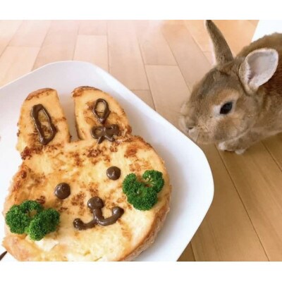 【ふるさと納税】幸せうさぎの食パン 4斤　うさぎ島からお届けします　【村上ベーカリー朝食トースト】