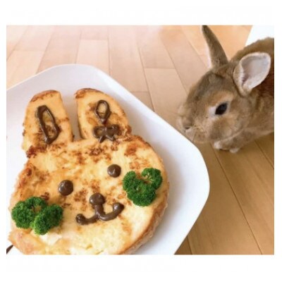 【ふるさと納税】幸せうさぎの食パン 6斤　うさぎ島からお届けします　【村上ベーカリー朝食トースト】