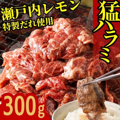 牛ハラミ 特製瀬戸内レモン塩だれ 300g (300g×1) 尾野精肉店の牛ハラミ 焼肉 訳あり