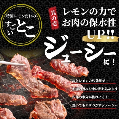牛ハラミ 特製瀬戸内レモン塩だれ 900g (300g×3) 尾野精肉店の牛ハラミ 焼肉 訳あり