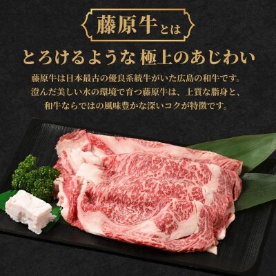 藤原牛 サーロインステーキ 200g(200g×1枚)【国産牛】