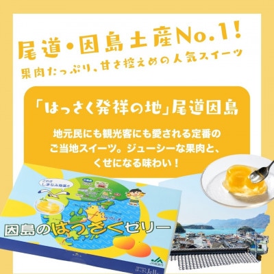 因島のはっさくゼリー　78g×計15個セット
