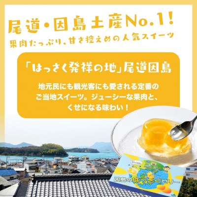 【八朔(はっさく)発祥の地】因島のはっさくゼリー　78g×15個 セット