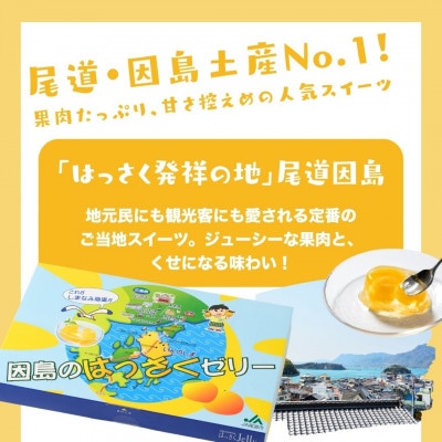 因島のはっさくゼリー(78g×12個)