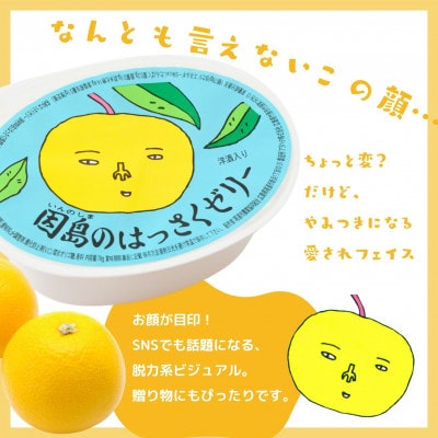 【八朔(はっさく)発祥の地】因島のはっさくゼリー (78g×12個)