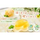 因島のはっさくシャーベット(未凍結)とゼリーの詰め合わせB(シャーベット12個、ゼリー5個)