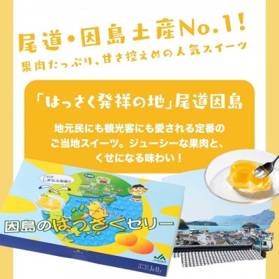 因島のはっさくゼリー 78g 72個セット