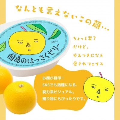 因島のはっさくゼリー 78g 72個セット