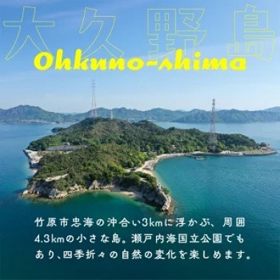 【うさぎ島】 ペア宿泊券(30,000円相当)