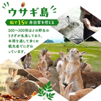【うさぎ島】 ペア宿泊券(30,000円相当)