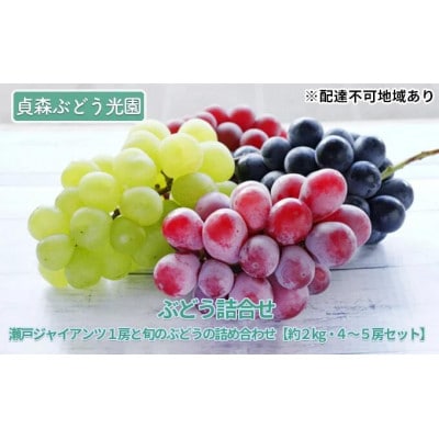 瀬戸ジャイアンツ1房と旬のぶどうの詰め合わせ 約2kg 4～5房セット