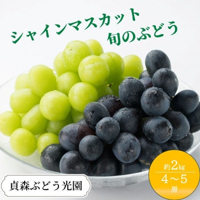 シャインマスカットと旬のぶどう 詰め合わせ 約2kg 4～5房 セット