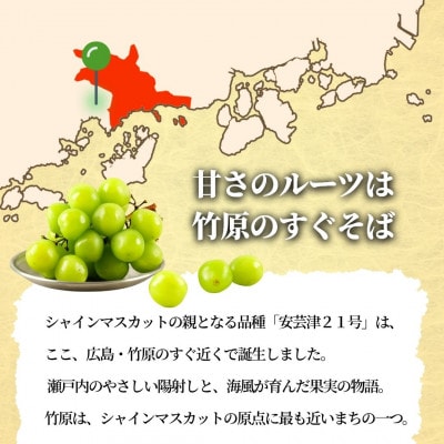 シャインマスカットと旬のぶどう 詰め合わせ 約2kg 4～5房 セット