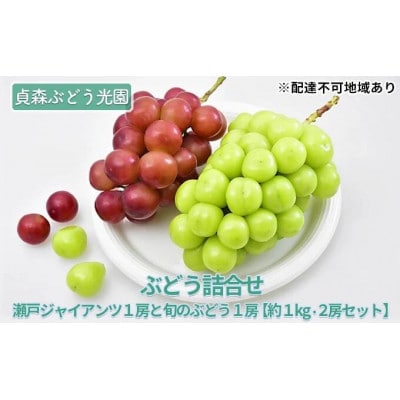 瀬戸ジャイアンツ1房と旬のぶどう1房(約1kg 2房セット)