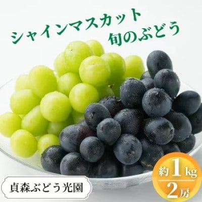 シャインマスカット1房と旬のぶどう1房 (約1kg 2房セット)