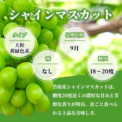シャインマスカット1房と旬のぶどう1房 (約1kg 2房セット)