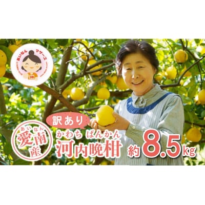 数量限定 先行受付 訳あり 河内晩柑 8.5kg みかん あいなんマザーズ 愛南町 愛媛県