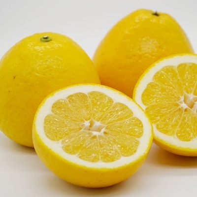【訳あり】あいなんマザーズの河内晩柑7kg