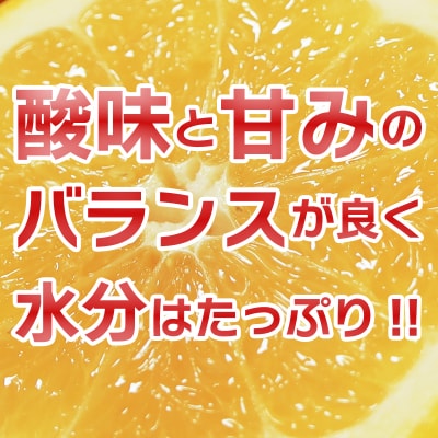 【訳あり】みかん職人の河内晩柑5kg 発送期間:なくなり次第終了