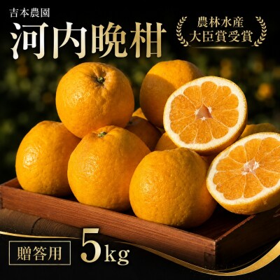 【贈答用】 河内晩柑 (愛南ゴールド)5kg みかん 吉本農園 愛媛県 愛南町