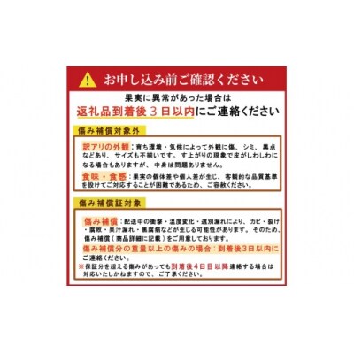 【贈答用】 河内晩柑 (愛南ゴールド)5kg みかん 吉本農園 愛媛県 愛南町
