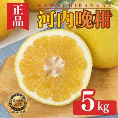 【正品】河内晩柑 (愛南ゴールド)5kg  吉本農園【発送期間: 2024年4月10日～】