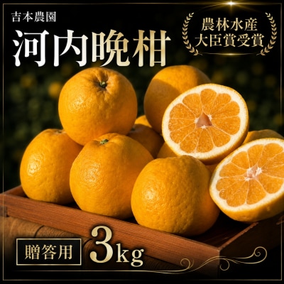 【贈答用】 河内晩柑 (愛南ゴールド)3kg 吉本農園 みかん 愛媛県 愛南町