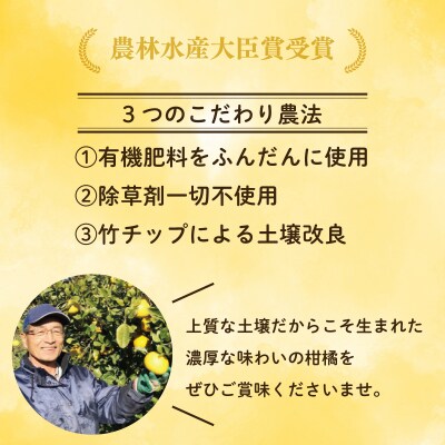 【贈答用】 河内晩柑 (愛南ゴールド)3kg 吉本農園【発送期間: 2024年4月10日～】