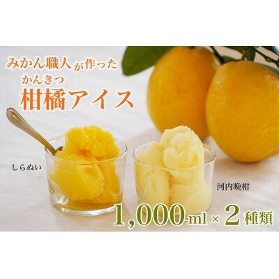 みかん職人が作った柑橘アイス1000ml×2種(河内晩柑・しらぬい)