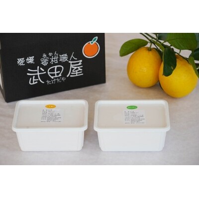 みかん職人が作った柑橘アイス1000ml×2種(河内晩柑・しらぬい)