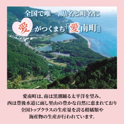 みかん職人が作った柑橘アイス1000ml×2種(河内晩柑・しらぬい)